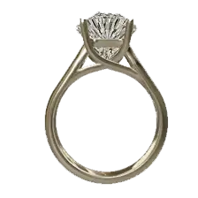 ring 1