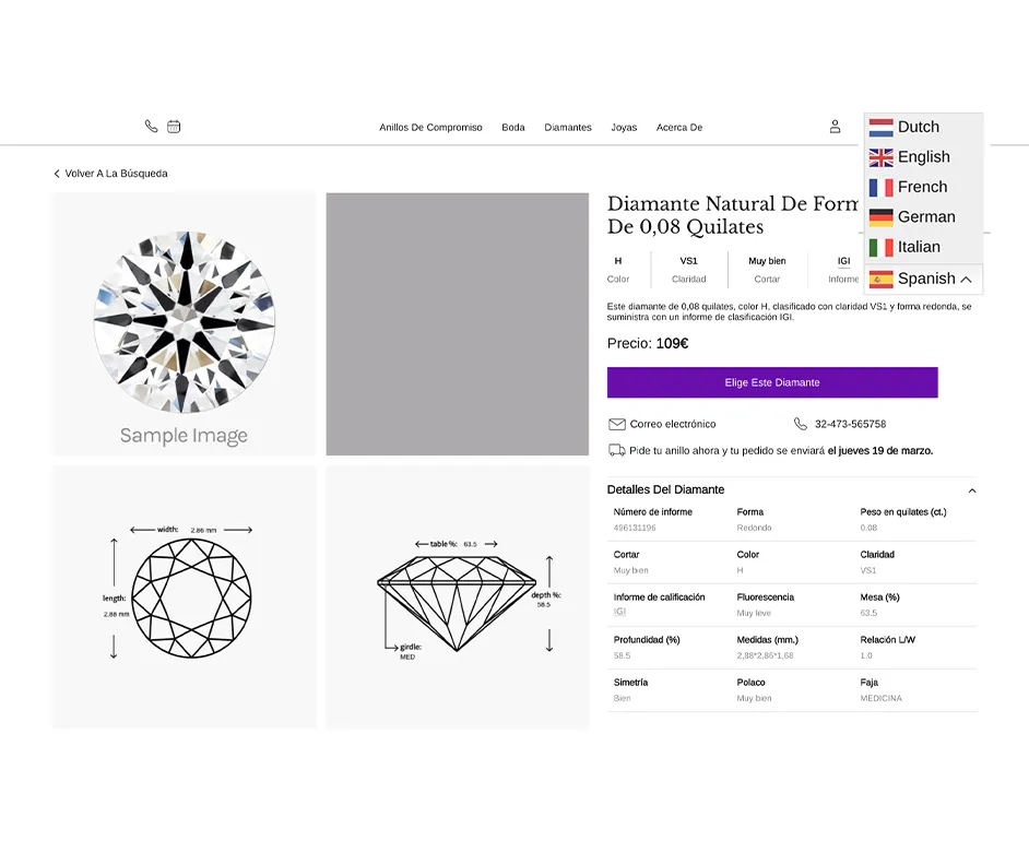 Multilingual Website