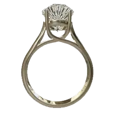 ring 2