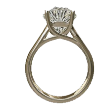 ring_1